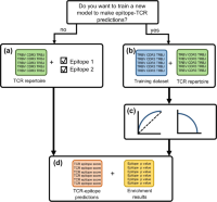 TCRex workflow.