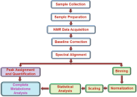 Flowchart showing the essential steps involved in NMR based metabolomics studies