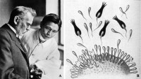 (a) Paul EhrlichEhrlich, P. (1854 Strehlen, Silesia, Prussia [now Strzelin, Poland]–1915 Hamburg, Germany) and Sahachiro Hata (1873 Tsumo Village, Japan–1938 Tokyo, Japan) at the Institute of Serum Research and Serum Testing, today Paul-Ehrlich-Institut.