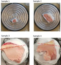 Examples of snap-frozen human cardiac samples.