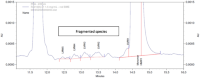Integration of the zoom view of the electrophoretic profile of a purified protein expressed in Pichia Pastoris by CE-SDSCapillary electrophoresis sodium dodecyl sulfate (CE-SDS) non-reducing