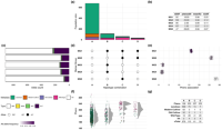Integrated local haplotypingLocal haplotyping visualisation in the genomic region of interest on chromosome 14 of soybeanSoybeans .