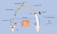 Scheme of a capillary electrochromatography (CEC) instrumentation where a UV detector is used