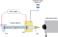 Scheme of capillary electrochromatography (CEC)-mass spectrometry (MS) instrumentation