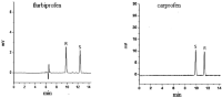 Enantioseparation of acidic racemates on the biphasic recognition system in capillary electrochromatography (CEC).