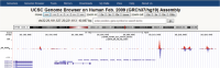 Bedgraph (bgr) file displayed in the UCSC genome browser showing a successful ER ChIP, with peaks at the XBP enhancer region