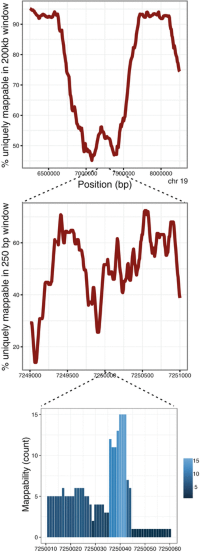 Mappability of sequence reads is far from uniform, across the scales from Mb to bps.