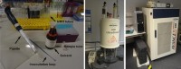 Equipment required for the preparation (a) and acquisition of NMR spectra from yeast isolates (b—magnet of an 400 MHz NMR spectrometer, equipped with a 5 mm 1H, 13C probe head and c—console and processing computer of the NMR spectrometer)