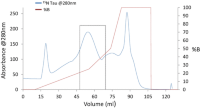 Cation exchange chromatographychromatography purificationpurification step of the 15N-Tau.