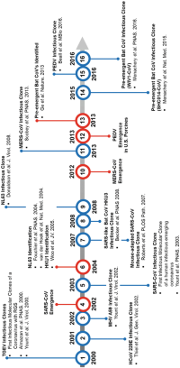 Timeline of emerging coronavirus events and infectious clones generated using reverse genetics systemsReverse genetics systems (RGS).