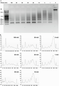 DNA profiles of MNase Micrococcal nuclease (MNase) -digested cells.