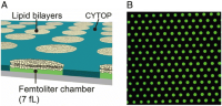 Formation of a lipid bilayer on the orifice of femtoliter chambers.