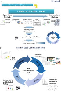 (a) Optimization cycle for H2L Hit-to-Lead (H2L) .