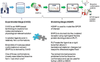 HGMP Hierarchical GPCR modeling protocol (HGMP) -C4XDC4XD workflow