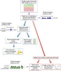 Workflow for bioinformaticsBioinformatics analyses of ChIP-seq data with examples of results.