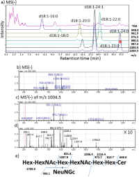 Mass chromatograms and MS and MS2 spectra of extended GM1b gangliosides of mouse CD8+ T cells by negative ion mode ESI-LC MS with a C30 reversed-phase column.