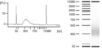 Analysis of post-enrichment TruSeq RVP RNA Access library using Agilent 2100 Bioanalyzer and DNA 7500 kit