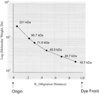 Molecular weight Protein Protein molecular weight (MW) (MW) calibration curve made based on the 2-D gel2-D gel separation shown in Fig.