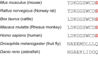 Comparison of the most C-terminus region of PICK1 sequence among various animals.