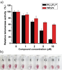 Inhibition assay of telomeraseTelomerase activity by the G-quadruplex ligandsG-quadruplex ligands [Ni2L3]Cl4-P and TMPyP4 using AuNPGold nanoparticles (AuNPs) -TS colorimetric method.