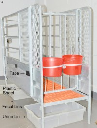 (a) Elevated calf stall depicting urine collection bin and plastic urine diversion sheet placement, viewed from front.