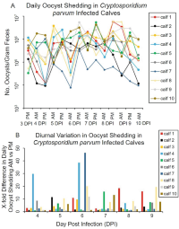 Diurnal variation in oocyst shedding in C.