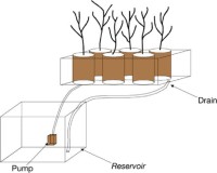 Schematic of ebb-and-flow hydroponic bioreactor used to grow six trees under predominantly aerobic conditions.