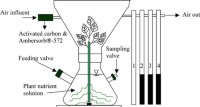 Schematic of sealed root-zone bioreactor.