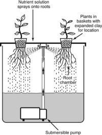 Schematic view of conventional aeroponic system.