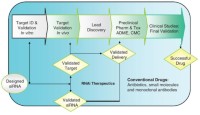 Delivery of siRNA for drug discovery and development.