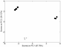 Scores plot from a principal components analysis of one-dimensional 1H nuclear magnetic resonance spectra.