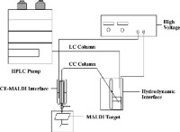 Schematic configuration of the comprehensive reverse-phase liquid chro-matography-capillary electrophoresis system with two interfaces.