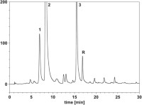Chromatogram obtained by following the pyroglutamate derivatization procedure.