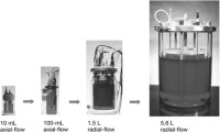 Series of fixed-bed reactor systems in different scales.