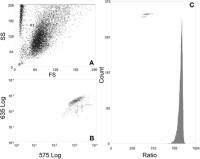 pHi measurement by flow cytometry of Chinese hamster ovary cells growing in batch culture.