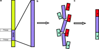 Fragment library preparation for next-generation sequencing.