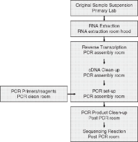 Physical separation of the laboratory activities: outline of the separate steps required for the amplification and sequencing of FMDV genomes.