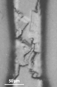 Insoluble deposits accumulated in the microchannel.