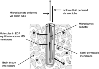 The Microdialysis probe: A microdialysis (MD) probe is usually constructed as a concentric tube where the perfusion fluid enters through an inner tube, flows to its distal end, exits the tube, and enters the space between the inner tube and the outer dialysis membrane.