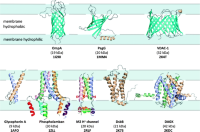 Representative membrane protein structures determined using solution NMR spectroscopy.