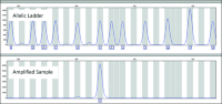 Electropherogram of the amplified D18S51 locus from the PowerPlex® 18D System analyzed in GeneMapper® ID Software, Version 3.2, showing allelic ladder and amplified sample.