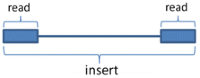 Schematic of a paired-end read
