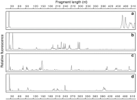 T-RFLP profiles generated from DNA extracted from a soil sample with the primers FAM27f and 519r, (a) without a digestion step where the undigested PCR products are visible (>470 nt), and (b–d) after digestion with one of three different restriction endonucleases, showing how the same pool of amplicons gives different profiles because each RE cuts at different recognition sequences (Table 2)