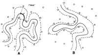 (A)Schematic representation of the chain (full line) and its “tube” (dotted lines) in the gel (dots); (B)The same with a loop or “hernia.”