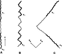 Different regimes of migration in crossed-field PFG, in the “zigzag” or “staircase” conformation.