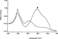 Absorption spectra of MTT formazan reagent (25 μg/mL) in DMSO (A) and 0.04N HC1/isopropanol (B).