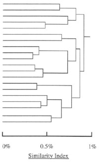 Dendrogram illustrating the similarity between the ETEC isolates in this study using the Centroid Linkage method.