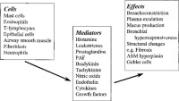 Cellular sources, inflammatory mediators, and effects of mediators involved in asthma.