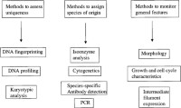 Methods of characterization for cancer cell lines.