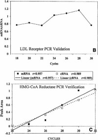 The data from (A) was analyzed in terms of the ratio of target mRNA to control cRNA to illustrate PCR reaction efficiency differences.